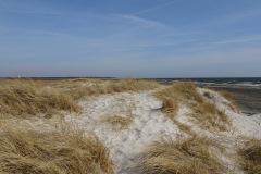 Falsterbo Camping Resort