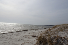 DSC00907