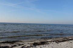 DSC00956