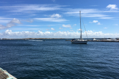20160728_121947027_iOS