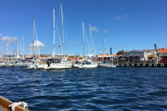 20160728_134023608_iOS